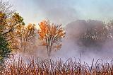 Autumn Morning Mist_29215